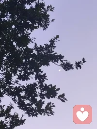 暮色漫染长空，一轮明月高悬天幕，褪去尘世喧嚣，灯火轻绽温柔。揽清辉入怀，携风月同行，于静谧夜色里藏尽万般浪漫，心随月色安然，岁岁皆有诗意相伴。配图
