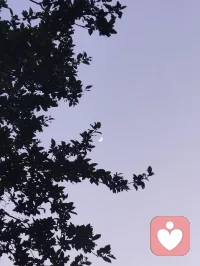 暮色漫染长空，一轮明月高悬天幕，褪去尘世喧嚣，灯火轻绽温柔。揽清辉入怀，携风月同行，于静谧夜色里藏尽万般浪漫，心随月色安然，岁岁皆有诗意相伴。配图