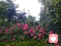 暮色漫染长空，一轮明月高悬天幕，褪去尘世喧嚣，灯火轻绽温柔。揽清辉入怀，携风月同行，于静谧夜色里藏尽万般浪漫，心随月色安然，岁岁皆有诗意相伴。配图