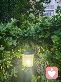 暮色漫染长空，一轮明月高悬天幕，褪去尘世喧嚣，灯火轻绽温柔。揽清辉入怀，携风月同行，于静谧夜色里藏尽万般浪漫，心随月色安然，岁岁皆有诗意相伴。配图