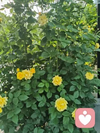 暮色漫染长空，一轮明月高悬天幕，褪去尘世喧嚣，灯火轻绽温柔。揽清辉入怀，携风月同行，于静谧夜色里藏尽万般浪漫，心随月色安然，岁岁皆有诗意相伴。配图