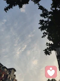暮色漫染长空，一轮明月高悬天幕，褪去尘世喧嚣，灯火轻绽温柔。揽清辉入怀，携风月同行，于静谧夜色里藏尽万般浪漫，心随月色安然，岁岁皆有诗意相伴。配图