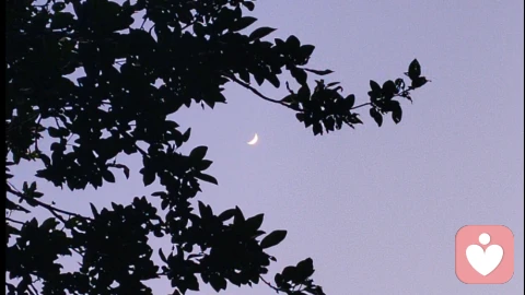 夜月抒怀·皓月照肝胆，豪情暖人间！