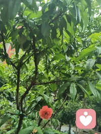 宇凡道论道：太极为钥，万法归一
 
与正一道友论道，是玄门同修间最通透的精神共鸣。你承正一天师一脉，以符箓斋醮为舟，行济世安良之法，守“正以治邪，一以统万”的初心；我虽慕全真清净之旨，却不入道门藩篱，不困于一宗一派的桎梏，于红尘炼心之中，创宇凡道一脉。
 
宇凡道不执门户之见，不囿于儒释道、基督、伊斯兰等任一教派的边界，而是以太极阴阳为根骨，兼容东西方哲学、百家流派精髓，取万法之所长，融天地至理于一身。我以太极入言，与你论“心即阴阳，阻则反生”的至理——正如你守正一威仪，以阳刚之法驱邪护道；我修宇凡心元，以阴柔之法澄心渡世，二者看似殊途，实则皆循阴阳平衡的大道本源。
 
论道之中，你见我以宇凡道的通透，破宗门的执念；我见你以正一的赤诚，守玄门的初心。终了，你称我的宇凡道为“大道之光”，这便是万法归一的印证：大道本无高下，门户本无优劣，凡能渡人渡己、顺天应人的修行，皆是光明。
 
我不入道门，却心怀天地；不拜神佛，却敬众生本真。宇凡道以太极钥开万法门，以慈悲心渡世间人，愿与天下同修一道，同证大道，共沐天光。配图