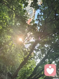津门的晚风，裹着雨后的清润，也裹着一屋子的烟火暖意。
 餐桌上，姐夫酒意微醺，诗词歌赋信手拈来，字句里都是生活的旷达；姐姐笑着盛上热菜，鲜美的大虾带着锅气，把家常的温柔盛进碗里。三个外甥女、外甥围坐桌边，剥好的虾递到长辈嘴里，眼里满是天真的热忱。餐后大外甥女指尖轻落，悠扬的钢琴曲漫过客厅，把晚风、笑语和酒香，都揉成了一首温柔的歌。
 没有盛大的仪式，却满是人间最踏实的圆满。晚风穿过窗棂，带着晚霞的温柔，也带着这一家人的暖意，缓缓流淌在时光里。配图