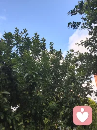 津门的晚风，裹着雨后的清润，也裹着一屋子的烟火暖意。
 餐桌上，姐夫酒意微醺，诗词歌赋信手拈来，字句里都是生活的旷达；姐姐笑着盛上热菜，鲜美的大虾带着锅气，把家常的温柔盛进碗里。三个外甥女、外甥围坐桌边，剥好的虾递到长辈嘴里，眼里满是天真的热忱。餐后大外甥女指尖轻落，悠扬的钢琴曲漫过客厅，把晚风、笑语和酒香，都揉成了一首温柔的歌。
 没有盛大的仪式，却满是人间最踏实的圆满。晚风穿过窗棂，带着晚霞的温柔，也带着这一家人的暖意，缓缓流淌在时光里。配图