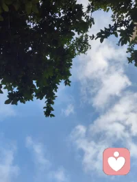 津门的晚风，裹着雨后的清润，也裹着一屋子的烟火暖意。
 餐桌上，姐夫酒意微醺，诗词歌赋信手拈来，字句里都是生活的旷达；姐姐笑着盛上热菜，鲜美的大虾带着锅气，把家常的温柔盛进碗里。三个外甥女、外甥围坐桌边，剥好的虾递到长辈嘴里，眼里满是天真的热忱。餐后大外甥女指尖轻落，悠扬的钢琴曲漫过客厅，把晚风、笑语和酒香，都揉成了一首温柔的歌。
 没有盛大的仪式，却满是人间最踏实的圆满。晚风穿过窗棂，带着晚霞的温柔，也带着这一家人的暖意，缓缓流淌在时光里。配图