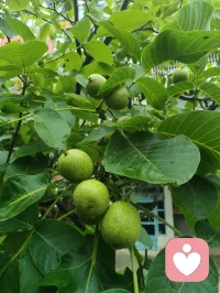 遍历戎马沧桑，博览百家医法，融汇中西心理玄学诸般智慧。身藏岁月旧伤，心历尘世委屈，于山水间悟道静心。摒弃门户成见，开创宇凡道第六道心神自愈道，以至诚亲情参悟疗愈真谛，守澄澈心性，立医道宗脉，慈悲渡己亦渡众生。配图