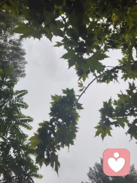 遍历戎马沧桑，博览百家医法，融汇中西心理玄学诸般智慧。身藏岁月旧伤，心历尘世委屈，于山水间悟道静心。摒弃门户成见，开创宇凡道第六道心神自愈道，以至诚亲情参悟疗愈真谛，守澄澈心性，立医道宗脉，慈悲渡己亦渡众生。配图