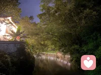 《夜渡心舟歌》
山影沉波星落河，
晚风吹散心头惑。
阶前灯火映池荷，
一念澄明破尘浊。
雨歇云开星垂野，
微光漫染旧山河。
同探心海无边界，
携手同途不寂寞。
 夜悠悠，水悠悠，
清风送月过汀洲。
心无垢，意无求，
同修同往，岁月长流。
同路人，同携手，
心海路上并肩走。
愿世间，皆安好，
美好相扣，心灯长留。配图