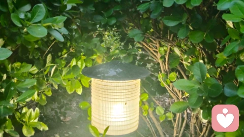 同心聚力,给力同行,暖渡尘心!