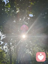 宇凡赤胆忠诚守山河，正念守初心，以宇凡道为炬，热爱可抵岁月漫长，向阳而生，逐光而行。宇纳千般情绪，凡守一颗初心！配图