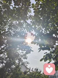 宇凡赤胆忠诚守山河，正念守初心，以宇凡道为炬，热爱可抵岁月漫长，向阳而生，逐光而行。宇纳千般情绪，凡守一颗初心！配图