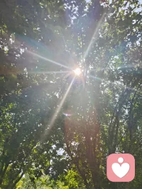 树隙生光，心隙生暖，光韵成蝶，正念自持。在给力心理，逐光自愈，温柔生长！配图