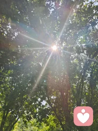 树隙生光，心隙生暖，光韵成蝶，正念自持。在给力心理，逐光自愈，温柔生长！配图