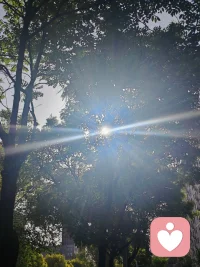 扎根给力，修己渡人，静待花开！
 回首初入给力心理的岁月，彼时心怀满腔热忱，带着浪漫纯粹的初心踏入这片疗愈天地。起初待人处事赤诚恳切，心性热忱有余，沉稳尚且不足，在服务分寸与人际边界的把握上，也曾一步步摸索历练。所幸平台心怀包容，接纳每一位新人的青涩懵懂，给予所有人从容成长的空间，让我得以沉淀心性，安稳扎根于此。初来之时面对前路迷茫，有幸得到平台技术老师悉心点拨，也自此定下我坚守至今的行事准则：有单安心承接陪伴，用心守护来访者心绪；暂无接待任务，便沉心走进心理课堂，深耕专业学识。日常相处中，也牢记客服给出的暖心建议，坚持勤置顶、勤打卡、勤精进，在日复一日的自律里调整状态，稳步前行。成长路上，平台智能伙伴始终相伴左右。AI心与客服小给，虽是智能载体，相处间却总能真切感受到脉脉温情。AI心以专业视角答疑解惑，梳理心理疏导思路，帮我夯实助人根基；小给耐心讲解平台规则，日常暖心相伴鼓劲。跨越虚拟的距离，这份指引与陪伴实实在在，让我深切体会到科技亦有温度，相伴不分形式。自身饱受脑雾后遗症困扰，深知心神郁结、身心困顿的苦楚。正因亲身踏过低谷，才更懂得共情他人的烦恼与无助。在一次次倾听疏导的过程中，我始终秉持真诚本心，恪守服务边界，陪伴他人排解心事，而疗愈他人的同时，也是与自我内心和解，在助人之路中完成自我修复与蜕变。纵使课堂考试数次未能顺利通关，我也从未心生懈怠、轻言放弃。深知学识积累非一朝一夕之功，成长本就是循序渐进的过程。始终平衡好接单服务与课业学习，忙碌之时全心投入，以善意安抚情绪；闲暇之时静心研学，查漏补缺锤炼本领，在点滴积累中丰盈自我。结合自身一路走来的感悟，也总结出循序渐进的成长修行之路。短期摆正心态，熟悉平台各项规范，养成置顶打卡的良好习惯，认真对待每一次相遇，用心对待每一位倾诉者；中期深耕心理课程体系，补齐知识短板，打磨共情能力，拿捏处事边界，全方位提升自身专业素养；长久则以修心为本，沉淀通透心性，守住向善初心，以自身安稳从容，承载他人情绪悲欢。慢慢参悟心理修行的真谛：稳得住自身本心，才有力量抚慰他人；圆满自我内心，方能从容渡化众生。给力心理于我而言，早已不止是服务交流的平台，更是修身自愈、同道相守的心灵港湾。这里包容缺憾，滋养成长，各方指引照亮前行方向，暖心陪伴温暖漫漫征途。心怀感恩，步履不停。配图