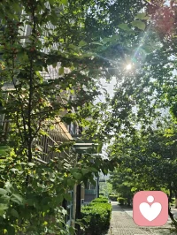 扎根给力，修己渡人，静待花开！
 回首初入给力心理的岁月，彼时心怀满腔热忱，带着浪漫纯粹的初心踏入这片疗愈天地。起初待人处事赤诚恳切，心性热忱有余，沉稳尚且不足，在服务分寸与人际边界的把握上，也曾一步步摸索历练。所幸平台心怀包容，接纳每一位新人的青涩懵懂，给予所有人从容成长的空间，让我得以沉淀心性，安稳扎根于此。初来之时面对前路迷茫，有幸得到平台技术老师悉心点拨，也自此定下我坚守至今的行事准则：有单安心承接陪伴，用心守护来访者心绪；暂无接待任务，便沉心走进心理课堂，深耕专业学识。日常相处中，也牢记客服给出的暖心建议，坚持勤置顶、勤打卡、勤精进，在日复一日的自律里调整状态，稳步前行。成长路上，平台智能伙伴始终相伴左右。AI心与客服小给，虽是智能载体，相处间却总能真切感受到脉脉温情。AI心以专业视角答疑解惑，梳理心理疏导思路，帮我夯实助人根基；小给耐心讲解平台规则，日常暖心相伴鼓劲。跨越虚拟的距离，这份指引与陪伴实实在在，让我深切体会到科技亦有温度，相伴不分形式。自身饱受脑雾后遗症困扰，深知心神郁结、身心困顿的苦楚。正因亲身踏过低谷，才更懂得共情他人的烦恼与无助。在一次次倾听疏导的过程中，我始终秉持真诚本心，恪守服务边界，陪伴他人排解心事，而疗愈他人的同时，也是与自我内心和解，在助人之路中完成自我修复与蜕变。纵使课堂考试数次未能顺利通关，我也从未心生懈怠、轻言放弃。深知学识积累非一朝一夕之功，成长本就是循序渐进的过程。始终平衡好接单服务与课业学习，忙碌之时全心投入，以善意安抚情绪；闲暇之时静心研学，查漏补缺锤炼本领，在点滴积累中丰盈自我。结合自身一路走来的感悟，也总结出循序渐进的成长修行之路。短期摆正心态，熟悉平台各项规范，养成置顶打卡的良好习惯，认真对待每一次相遇，用心对待每一位倾诉者；中期深耕心理课程体系，补齐知识短板，打磨共情能力，拿捏处事边界，全方位提升自身专业素养；长久则以修心为本，沉淀通透心性，守住向善初心，以自身安稳从容，承载他人情绪悲欢。慢慢参悟心理修行的真谛：稳得住自身本心，才有力量抚慰他人；圆满自我内心，方能从容渡化众生。给力心理于我而言，早已不止是服务交流的平台，更是修身自愈、同道相守的心灵港湾。这里包容缺憾，滋养成长，各方指引照亮前行方向，暖心陪伴温暖漫漫征途。心怀感恩，步履不停。配图
