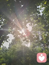 凭倾听洞悉人心玄妙，以宇凡道学安顿纷乱心神，消解焦虑内耗，本心安稳，便可万事澄明。配图