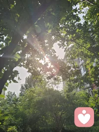 凭倾听洞悉人心玄妙，以宇凡道学安顿纷乱心神，消解焦虑内耗，本心安稳，便可万事澄明。配图