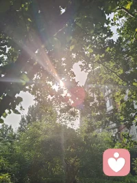 凭倾听洞悉人心玄妙，以宇凡道学安顿纷乱心神，消解焦虑内耗，本心安稳，便可万事澄明。配图