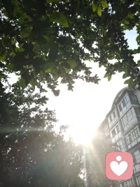 凭倾听洞悉人心玄妙，以宇凡道学安顿纷乱心神，消解焦虑内耗，本心安稳，便可万事澄明。配图
