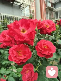凭倾听洞悉人心玄妙，以宇凡道学安顿纷乱心神，消解焦虑内耗，本心安稳，便可万事澄明。配图