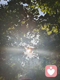 宇参悟本我真我无我，博览百家典籍创宇凡道，以自爱立身做主，修六道圆满，守本心自在安然。配图