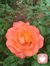 晨练归来，早餐一碗家常玉米面条，土豆丝与胡萝卜丝裹着鲜醇卤汁，芹菜添爽，姜片暖身，蒜瓣添香。古人云“男子不可百日无姜”，姜能温阳壮魄，蒜可辟浊清神，这一碗寻常烟火，便是最实在的修行滋养。于人间烟火里，守一份随性自在，于一粥一饭中，悟一份温暖慈悲。愿世间所有美好，都如期而至，也愿你我在寻常日子里，都能被温柔以待，心怀暖意，奔赴每一场美好！配图