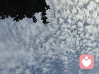 宇凡六道循天地本心，觉醒可断家族业力血脉轮回。修己疗心，便是护佑后人，愿众生跳出执念，岁岁安然。