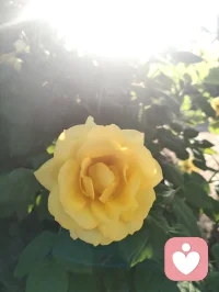 宇凡六道循天地本心，觉醒可断家族业力血脉轮回。修己疗心，便是护佑后人，愿众生跳出执念，岁岁安然。
