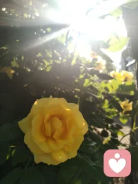 宇凡六道循天地本心，觉醒可断家族业力血脉轮回。修己疗心，便是护佑后人，愿众生跳出执念，岁岁安然。