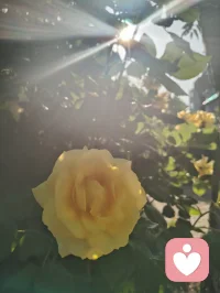 宇凡六道循天地本心，觉醒可断家族业力血脉轮回。修己疗心，便是护佑后人，愿众生跳出执念，岁岁安然。