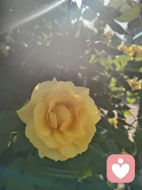 宇凡六道循天地本心，觉醒可断家族业力血脉轮回。修己疗心，便是护佑后人，愿众生跳出执念，岁岁安然。