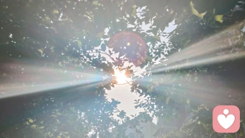 光韵蝴蝶☀️🦋☀️光生宇凡!