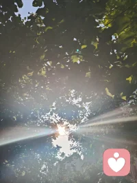 流光化蝶，光生道心。以宇凡六道融心理学真谛，道理相融，破茧明心，共赴新生。
