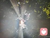 流光化蝶，光生道心。以宇凡六道融心理学真谛，道理相融，破茧明心，共赴新生。