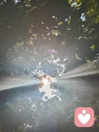 流光化蝶，光生道心。以宇凡六道融心理学真谛，道理相融，破茧明心，共赴新生。