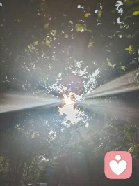 流光化蝶，光生道心。以宇凡六道融心理学真谛，道理相融，破茧明心，共赴新生。