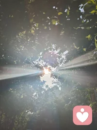 流光化蝶，光生道心。以宇凡六道融心理学真谛，道理相融，破茧明心，共赴新生。