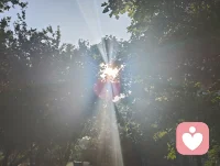 流光化蝶，光生道心。以宇凡六道融心理学真谛，道理相融，破茧明心，共赴新生。