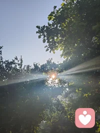 流光化蝶，光生道心。以宇凡六道融心理学真谛，道理相融，破茧明心，共赴新生。