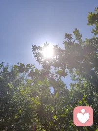 《易经》有云：蒙以养正，圣功也。孩童为天地灵气所化，亦是民族未来之希望。教育之本，护天性而不缚羽翼，立壮志以胸怀家国。愿少年守本心、立鸿志，以一身正气，赴山河远方！