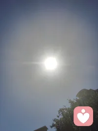 《易经》有云：蒙以养正，圣功也。孩童为天地灵气所化，亦是民族未来之希望。教育之本，护天性而不缚羽翼，立壮志以胸怀家国。愿少年守本心、立鸿志，以一身正气，赴山河远方！