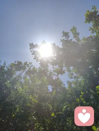 《易经》有云：蒙以养正，圣功也。孩童为天地灵气所化，亦是民族未来之希望。教育之本，护天性而不缚羽翼，立壮志以胸怀家国。愿少年守本心、立鸿志，以一身正气，赴山河远方！