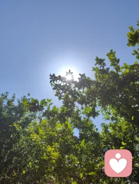 《易经》有云：蒙以养正，圣功也。孩童为天地灵气所化，亦是民族未来之希望。教育之本，护天性而不缚羽翼，立壮志以胸怀家国。愿少年守本心、立鸿志，以一身正气，赴山河远方！