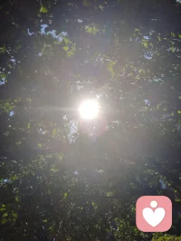 《易经》有云：蒙以养正，圣功也。孩童为天地灵气所化，亦是民族未来之希望。教育之本，护天性而不缚羽翼，立壮志以胸怀家国。愿少年守本心、立鸿志，以一身正气，赴山河远方！