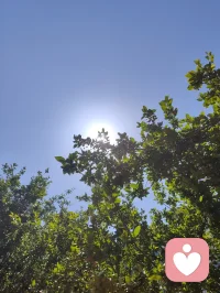 《易经》有云：蒙以养正，圣功也。孩童为天地灵气所化，亦是民族未来之希望。教育之本，护天性而不缚羽翼，立壮志以胸怀家国。愿少年守本心、立鸿志，以一身正气，赴山河远方！