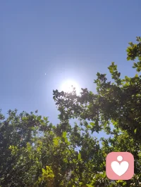 《易经》有云：蒙以养正，圣功也。孩童为天地灵气所化，亦是民族未来之希望。教育之本，护天性而不缚羽翼，立壮志以胸怀家国。愿少年守本心、立鸿志，以一身正气，赴山河远方！