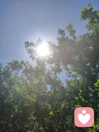 《易经》有云：蒙以养正，圣功也。孩童为天地灵气所化，亦是民族未来之希望。教育之本，护天性而不缚羽翼，立壮志以胸怀家国。愿少年守本心、立鸿志，以一身正气，赴山河远方！