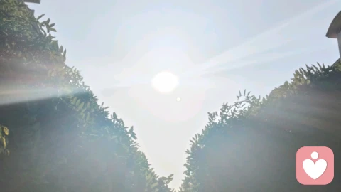 临兵斗者皆阵列前行！道家九字真言：立心为阵，踏道前行。